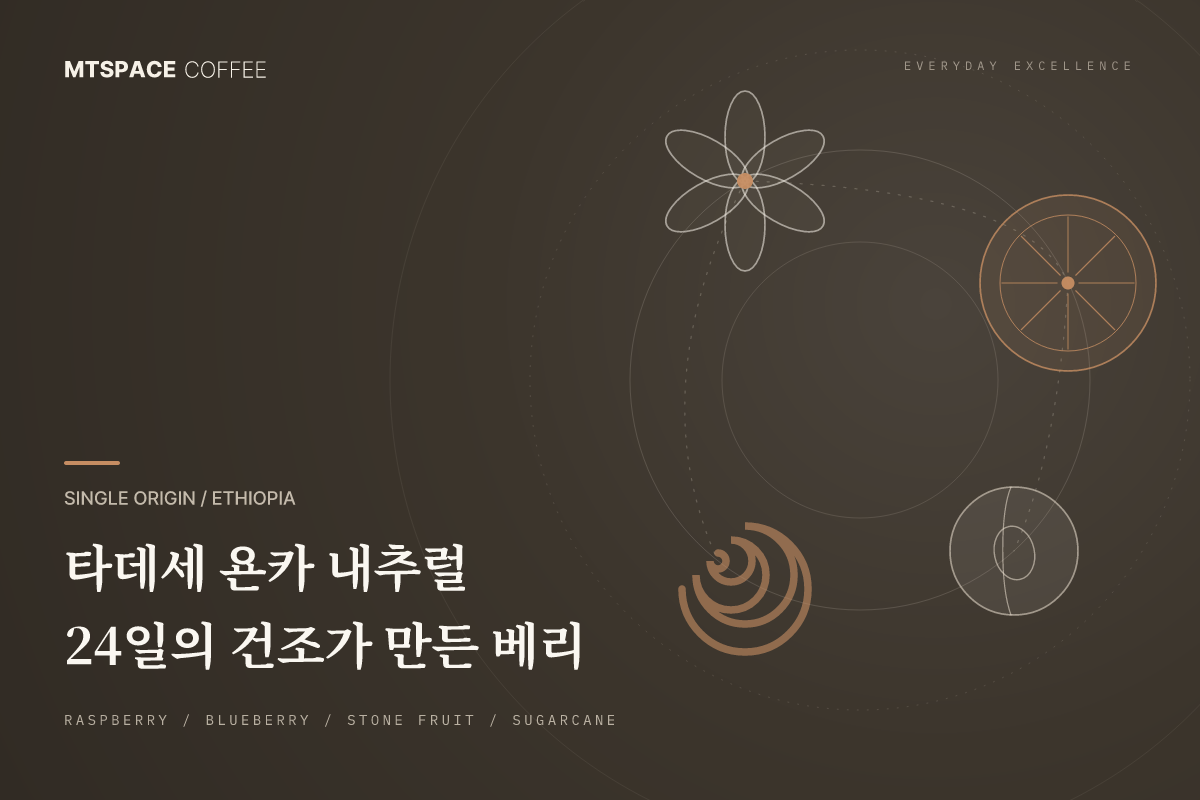타데세 욘카 내추럴, 24일의 건조가 만든 시다모 벤사의 베리